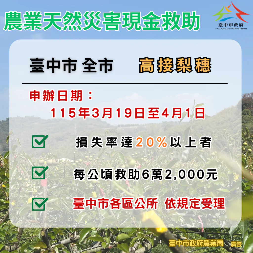 中市高接梨穗災損補助 3/19-4/1受災農民可申請現金救助 中市高接梨穗災損補助 3/19-4/1受災農民可申請現金救助