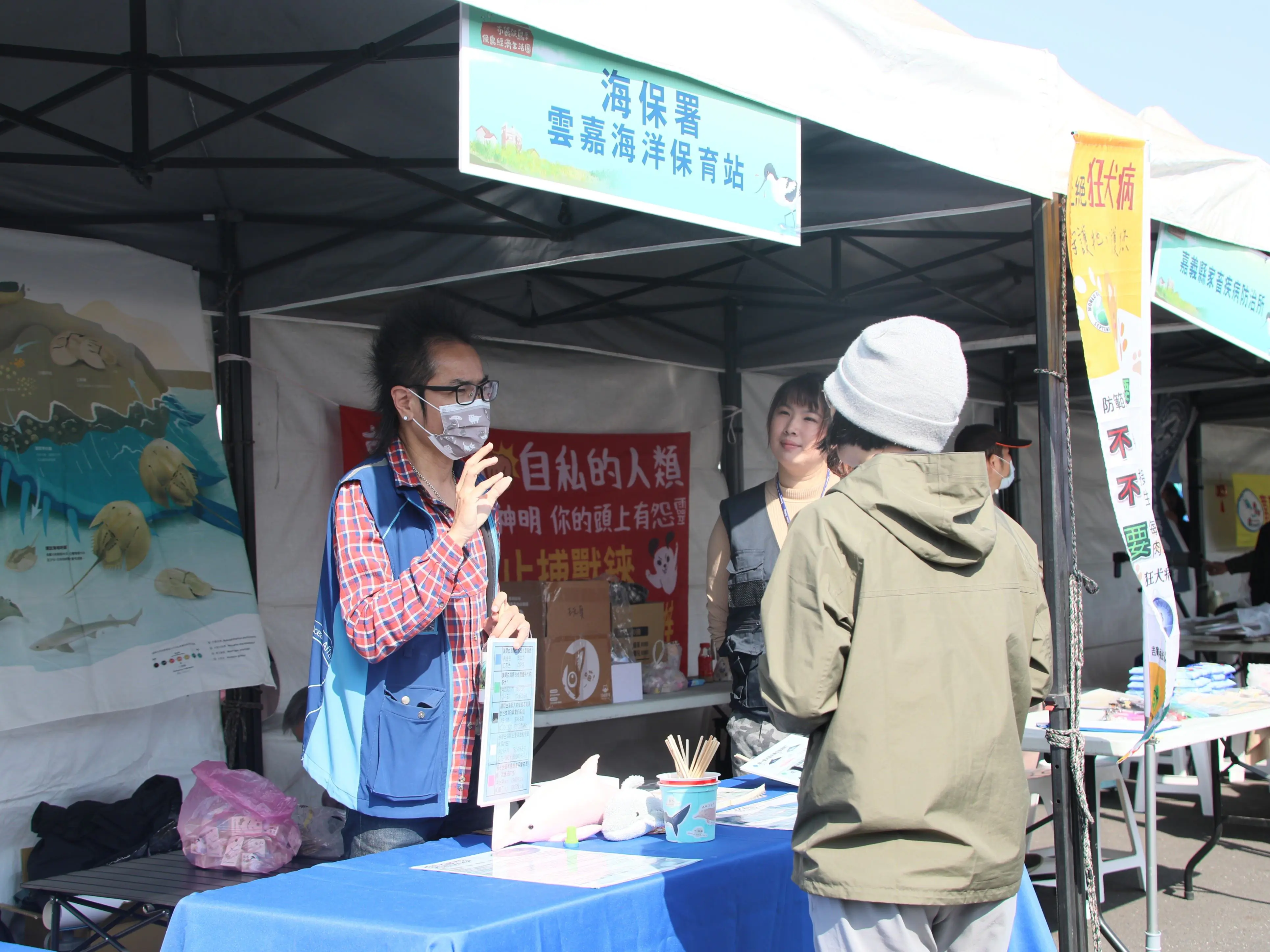 布袋候鳥季今日登場 千羽齊聚展現國家級濕地風采 布袋候鳥季今日登場 千羽齊聚展現國家級濕地風采
