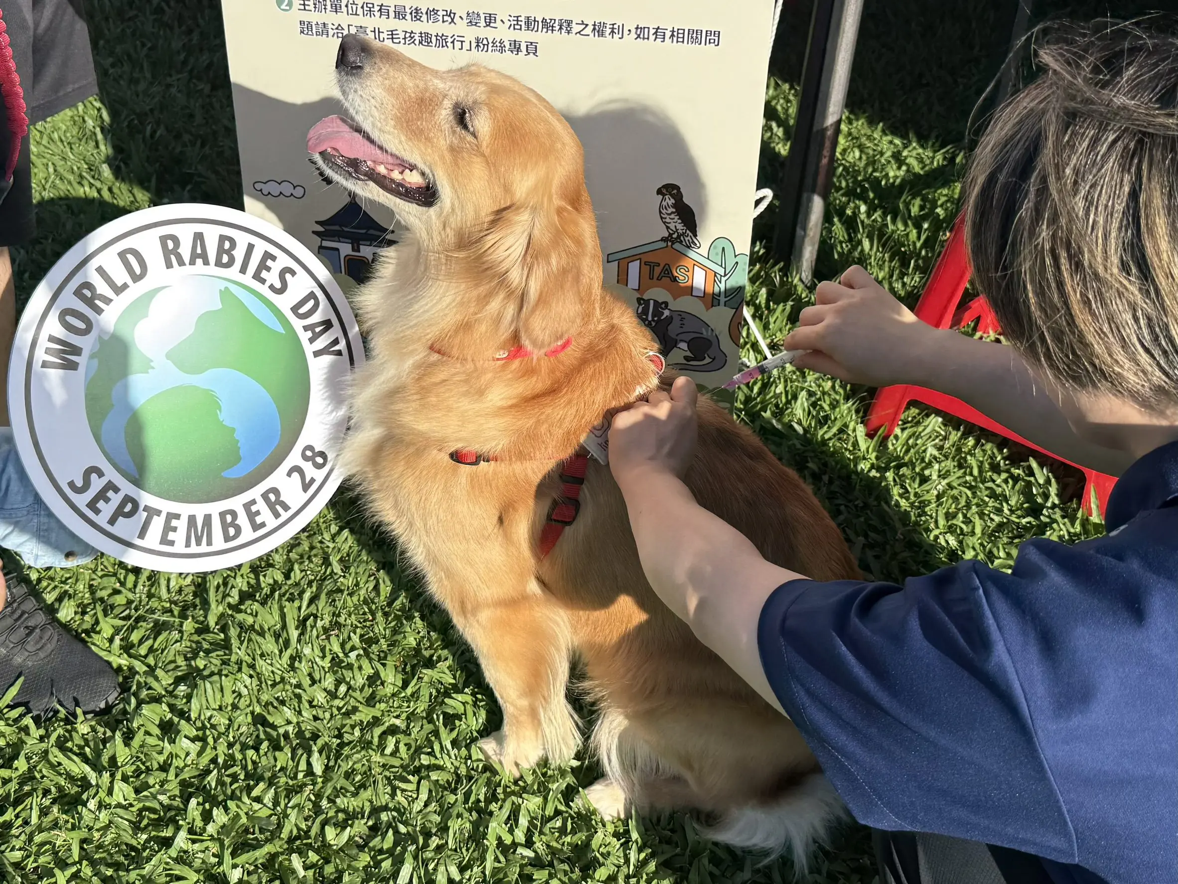 花伴野餐迎春趣 北市動保處推動保知識與免費狂犬病疫苗服務 花伴野餐迎春趣 北市動保處推動保知識與免費狂犬病疫苗服務