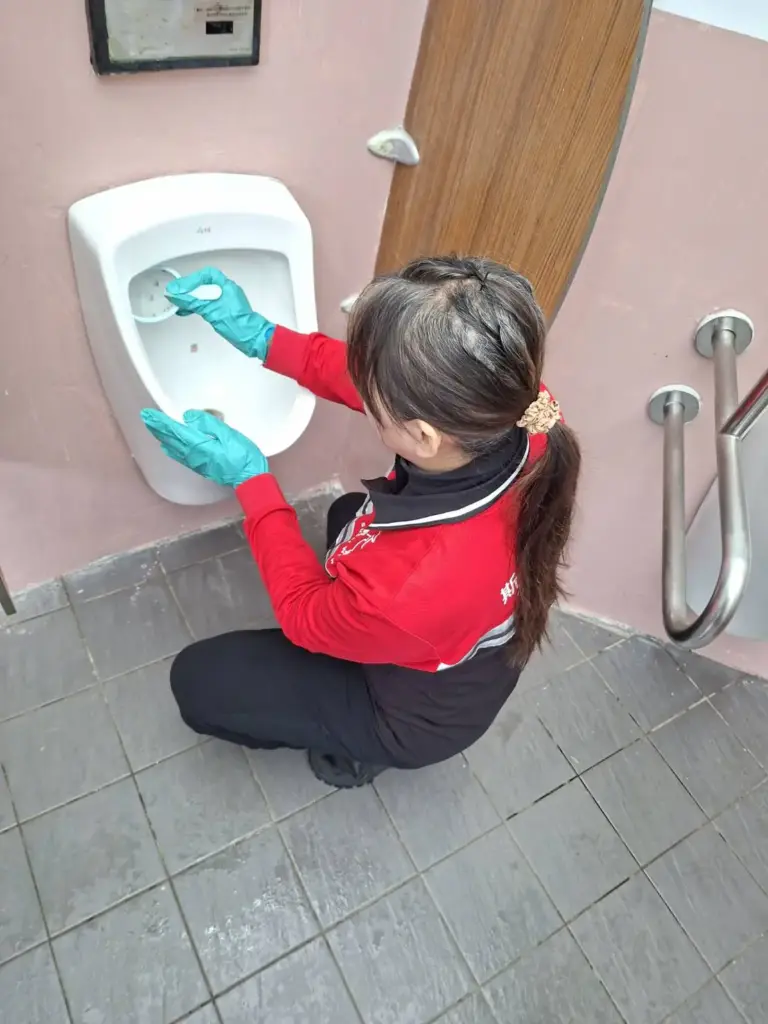 竹子湖花季迎客 北市導入公廁健檢打造乾淨如廁環境 竹子湖花季迎客 北市導入公廁健檢打造乾淨如廁環境