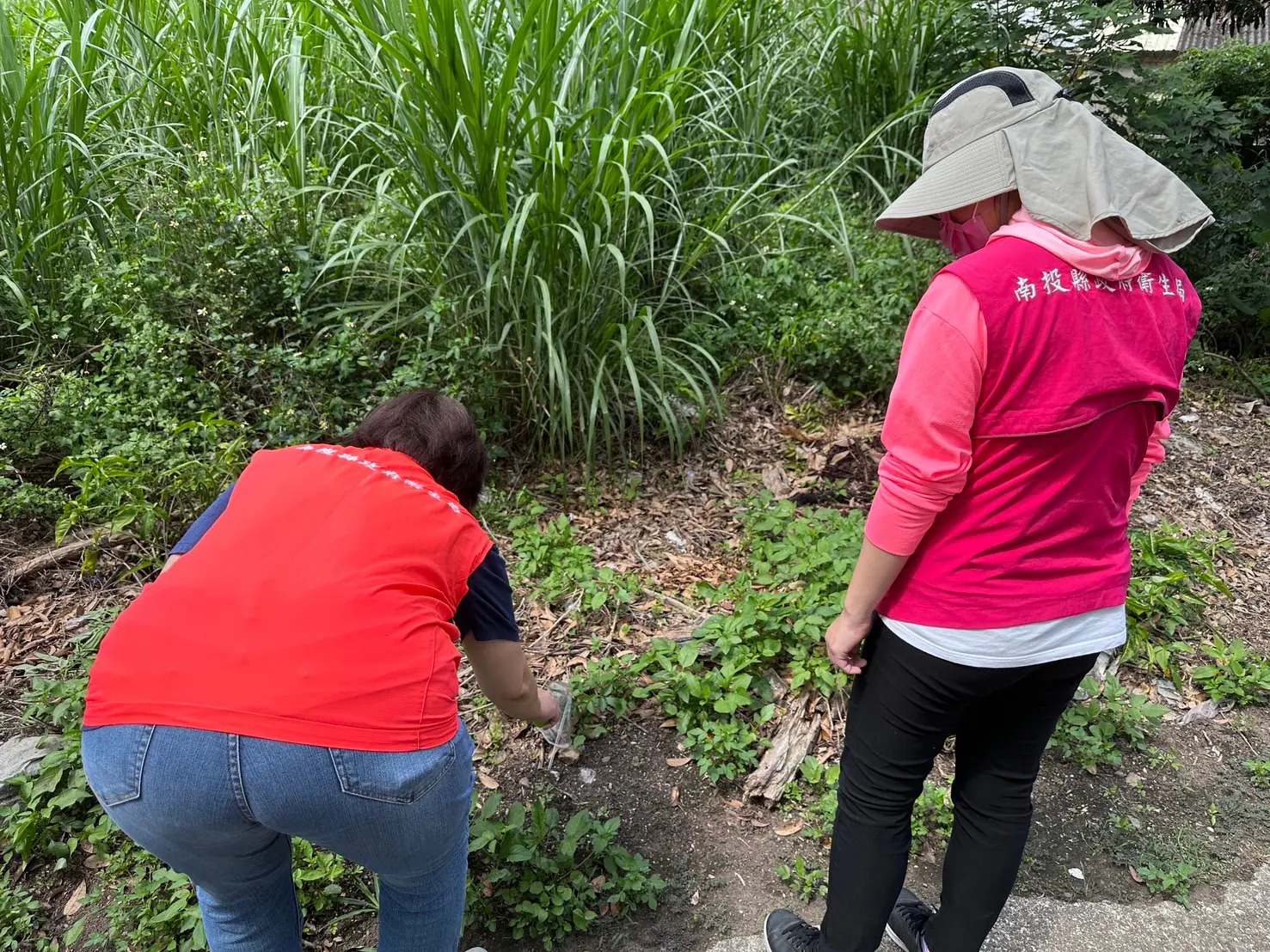 戶外防護做得好 不怕恙蟲來打擾! 戶外防護做得好 不怕恙蟲來打擾!