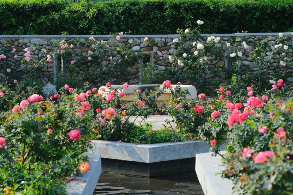 走進 臺北玫瑰園,感受「玫感藝象」的城市浪漫 10 3f826630 6e5e 47b5 aa4b f24639e9939e