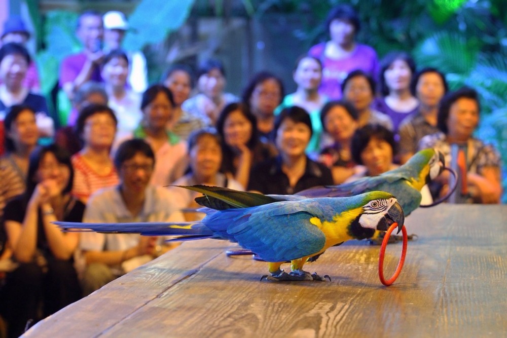 綠世界新「2026春季校外教學」優惠 加碼送超人氣充氣飛盤! 綠世界新「2026春季校外教學」優惠 加碼送超人氣充氣飛盤!