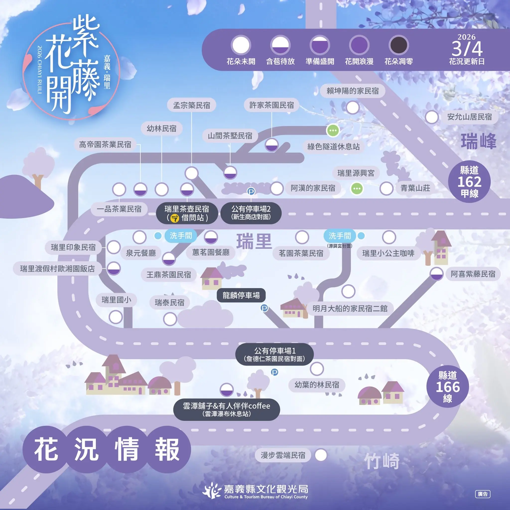 瑞里紫藤含苞待放 春日紫色山城即將登場 瑞里紫藤含苞待放 春日紫色山城即將登場
