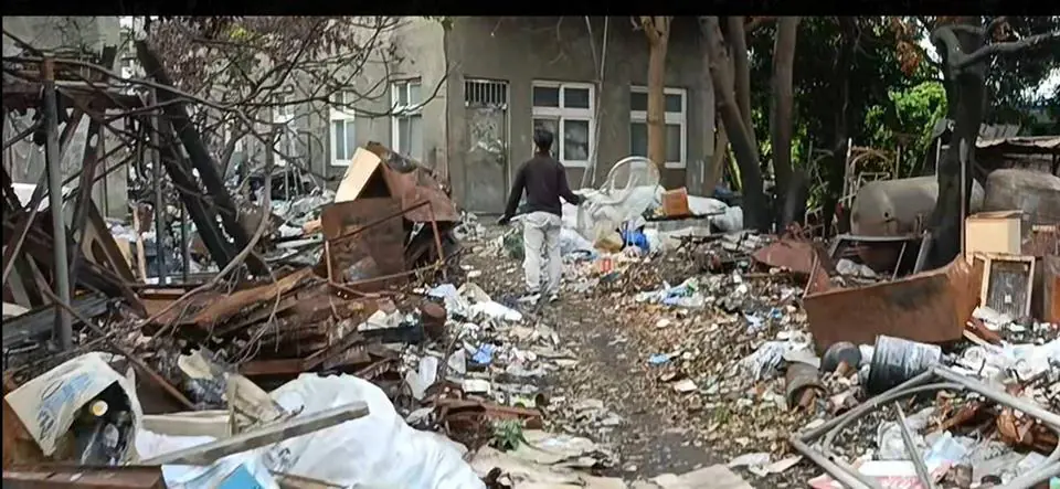 和美鎮民眾飼養犬隻危害公共安全 彰化縣動防所強力介入依法究責 和美鎮民眾飼養犬隻危害公共安全 彰化縣動防所強力介入依法究責