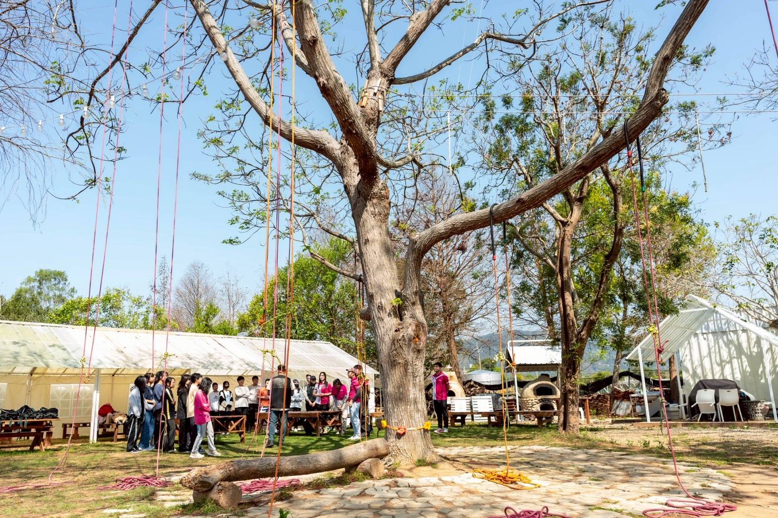 「與你一起長高的勇氣」攀樹活動 台中扶青社帶孩子挑戰自我 「與你一起長高的勇氣」攀樹活動 台中扶青社帶孩子挑戰自我