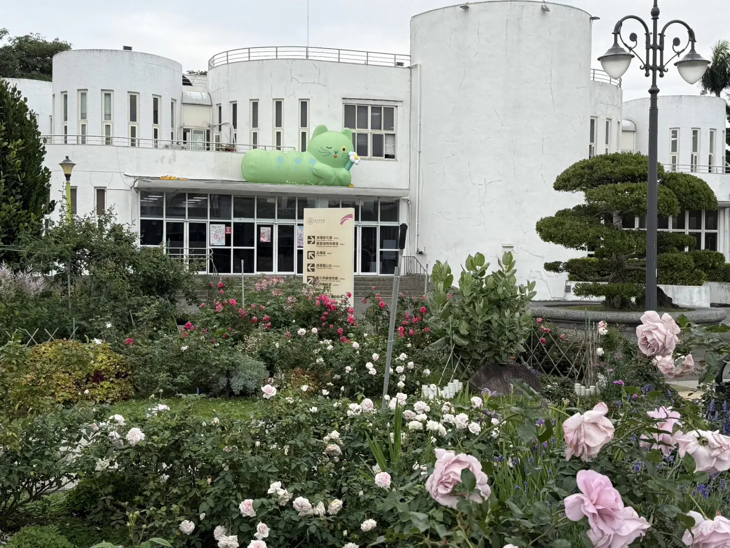 花IN台北再添萌點 2.5公尺「園丁喵喵」現身玫瑰展 花IN台北再添萌點 2.5公尺「園丁喵喵」現身玫瑰展
