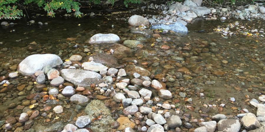 新北治水工程雙雙獲國家級大獎 生態河川與滯洪公園打造韌性城市 新北治水工程雙雙獲國家級大獎 生態河川與滯洪公園打造韌性城市