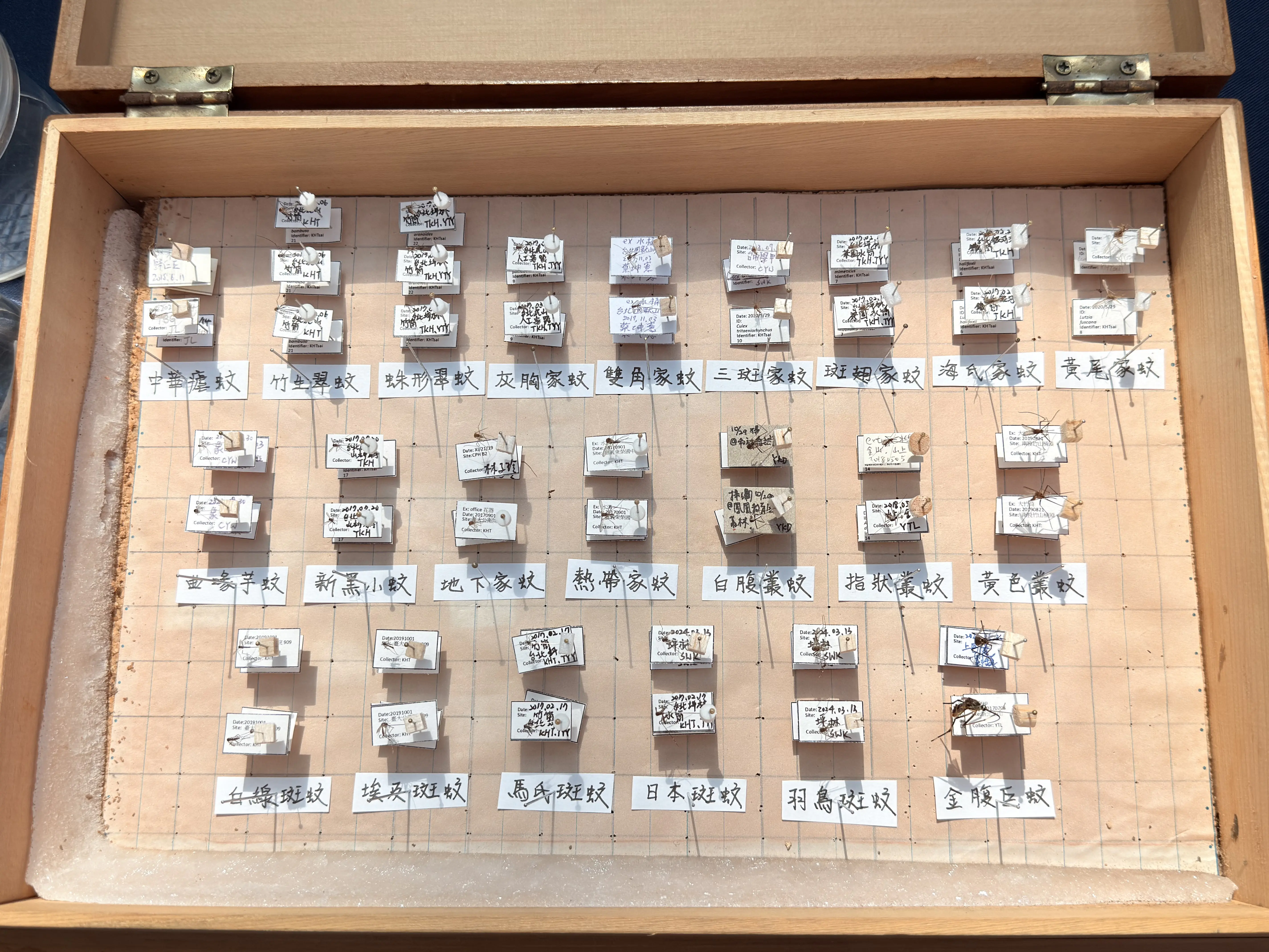 2026 台灣環境害蟲日 邀請民眾一齊智慧防蟲 守護家園 2026 台灣環境害蟲日 邀請民眾一齊智慧防蟲 守護家園