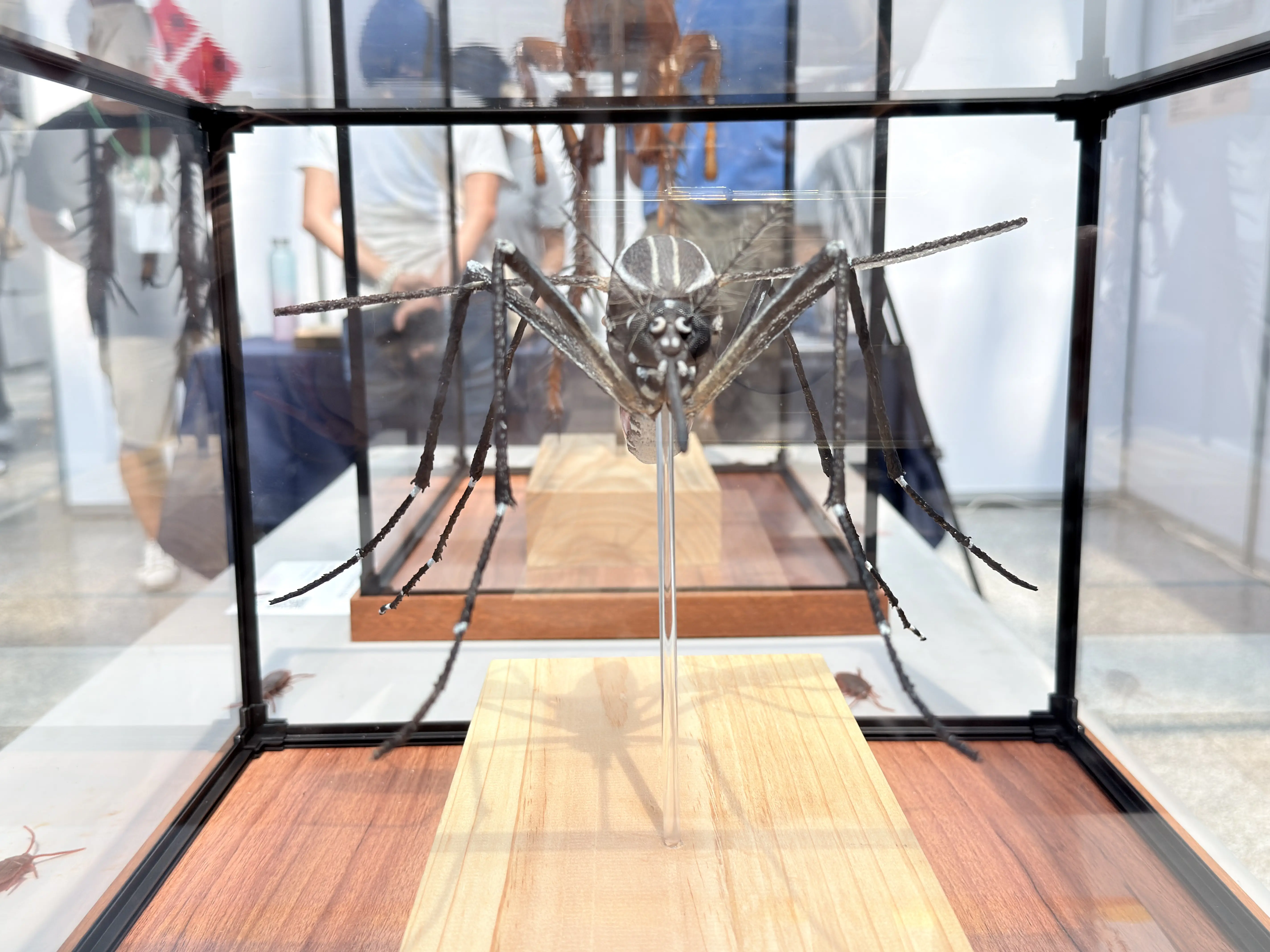 2026 台灣環境害蟲日 邀請民眾一齊智慧防蟲 守護家園 2026 台灣環境害蟲日 邀請民眾一齊智慧防蟲 守護家園