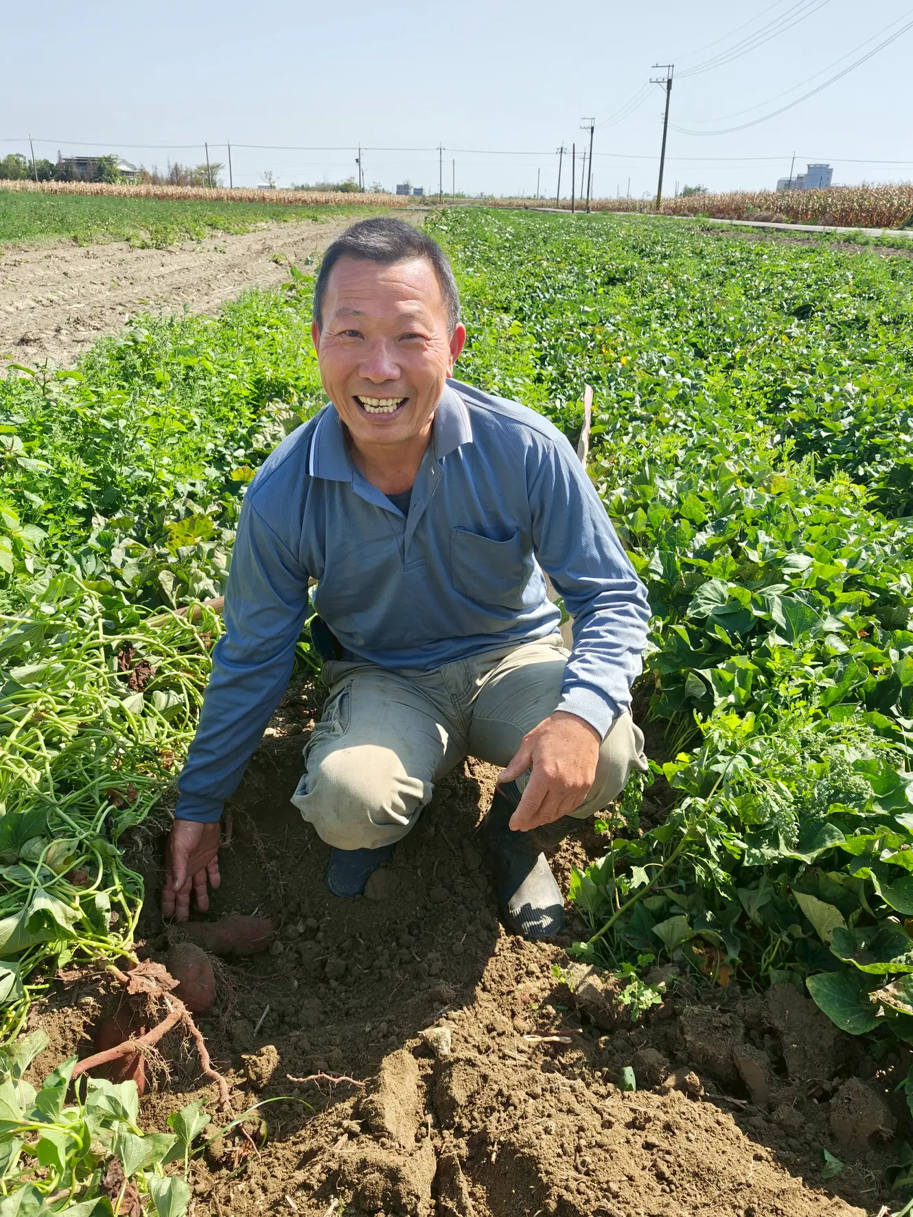 文化部訪視台南下營地方創生 期許A贏成功 文化部訪視台南下營地方創生 期許A贏成功