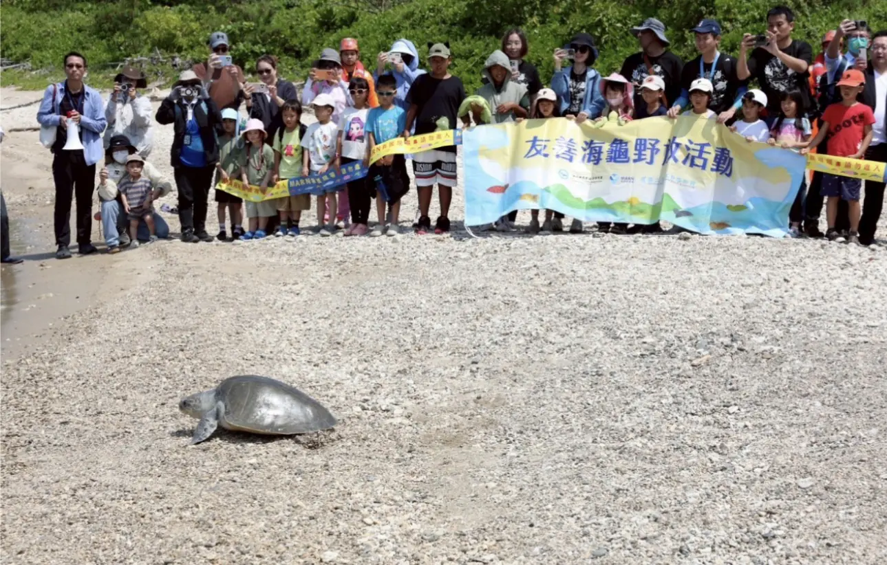 海洋委員會海洋保育署 攜手海巡署、海生館 舉辦海龜野放活動 海洋委員會海洋保育署 攜手海巡署、海生館 舉辦海龜野放活動