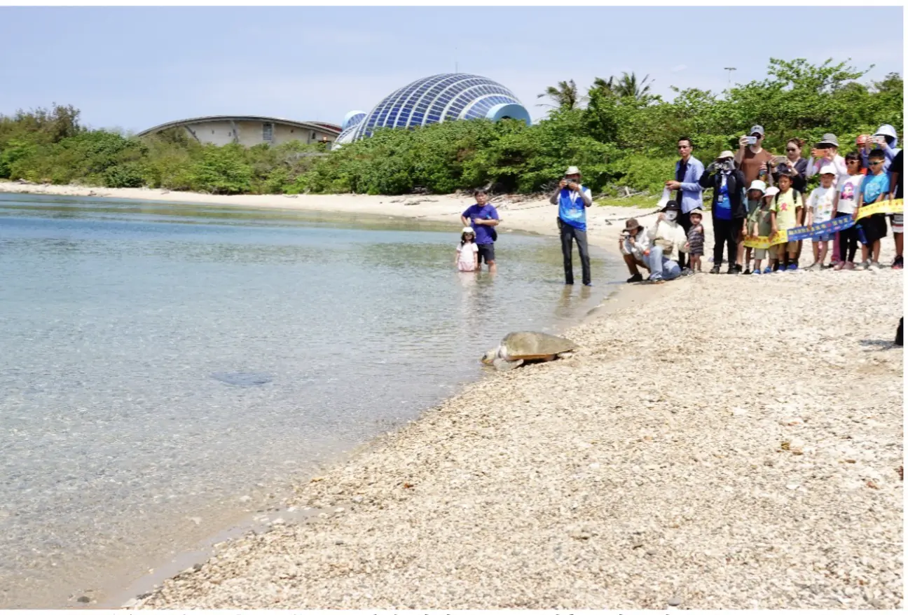 海洋委員會海洋保育署 攜手海巡署、海生館 舉辦海龜野放活動 海洋委員會海洋保育署 攜手海巡署、海生館 舉辦海龜野放活動