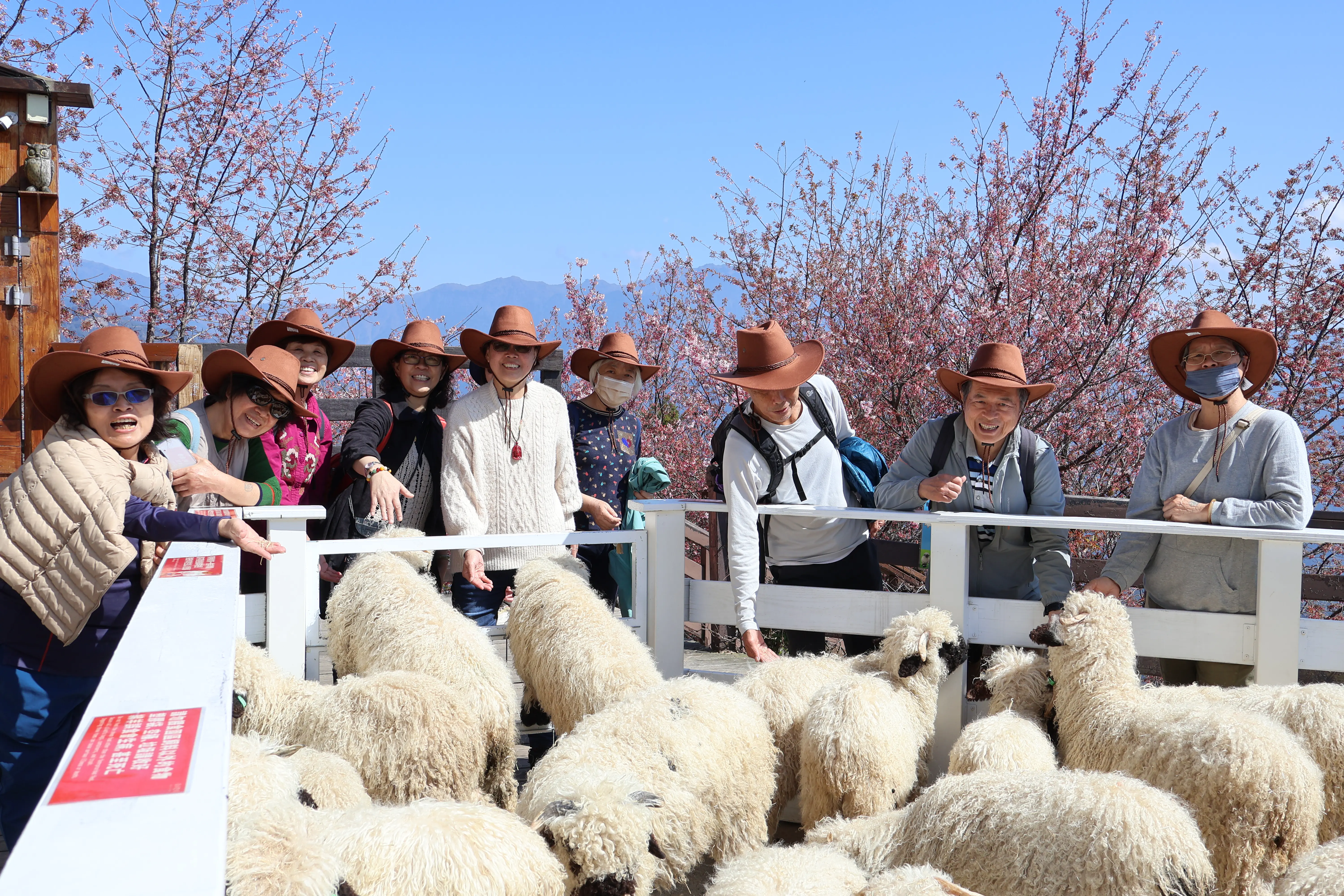 清境攜手梅峰推春季旅遊 跨園區整合帶動高山觀光 清境攜手梅峰推春季旅遊 跨園區整合帶動高山觀光