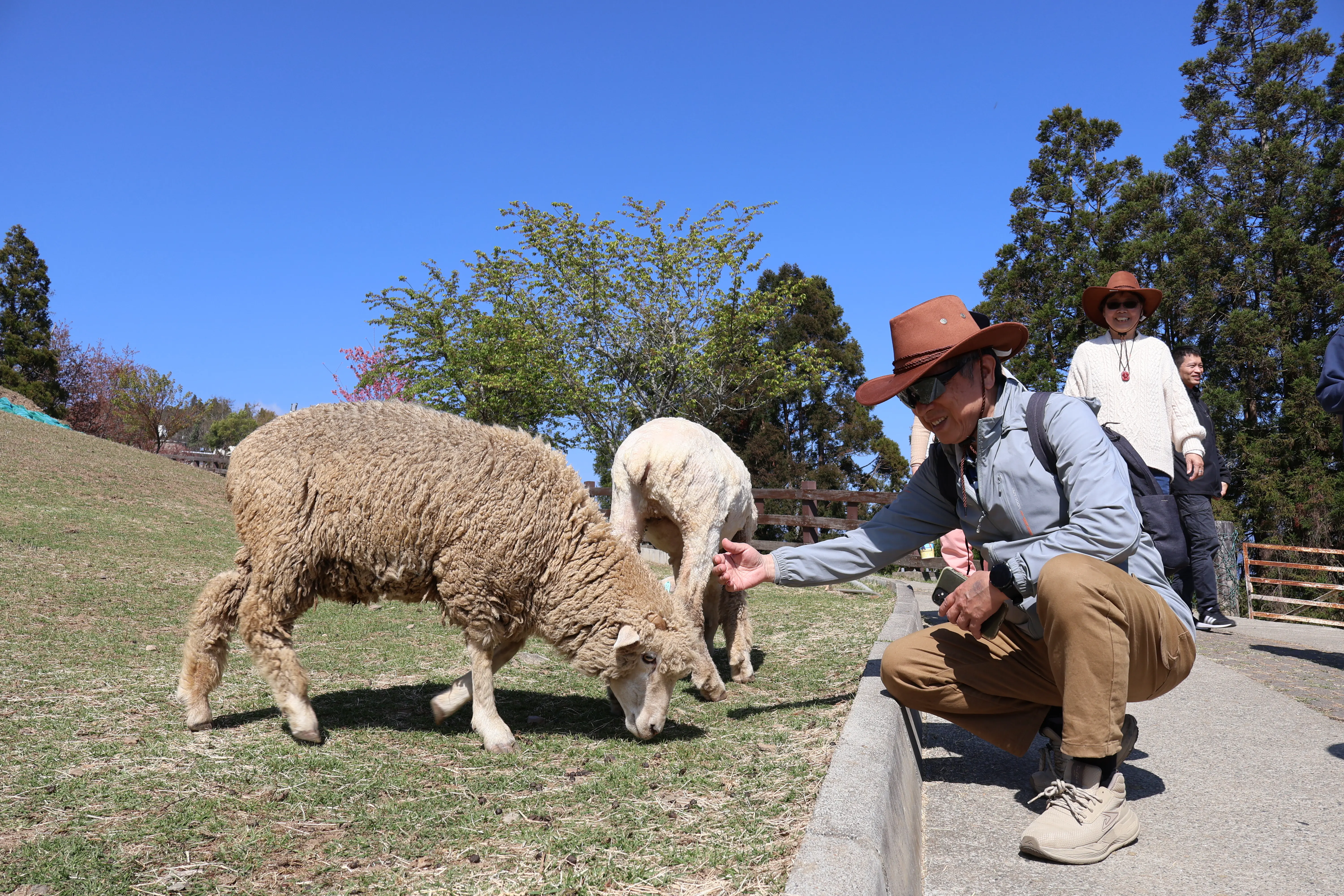 清境攜手梅峰推春季旅遊 跨園區整合帶動高山觀光 清境攜手梅峰推春季旅遊 跨園區整合帶動高山觀光