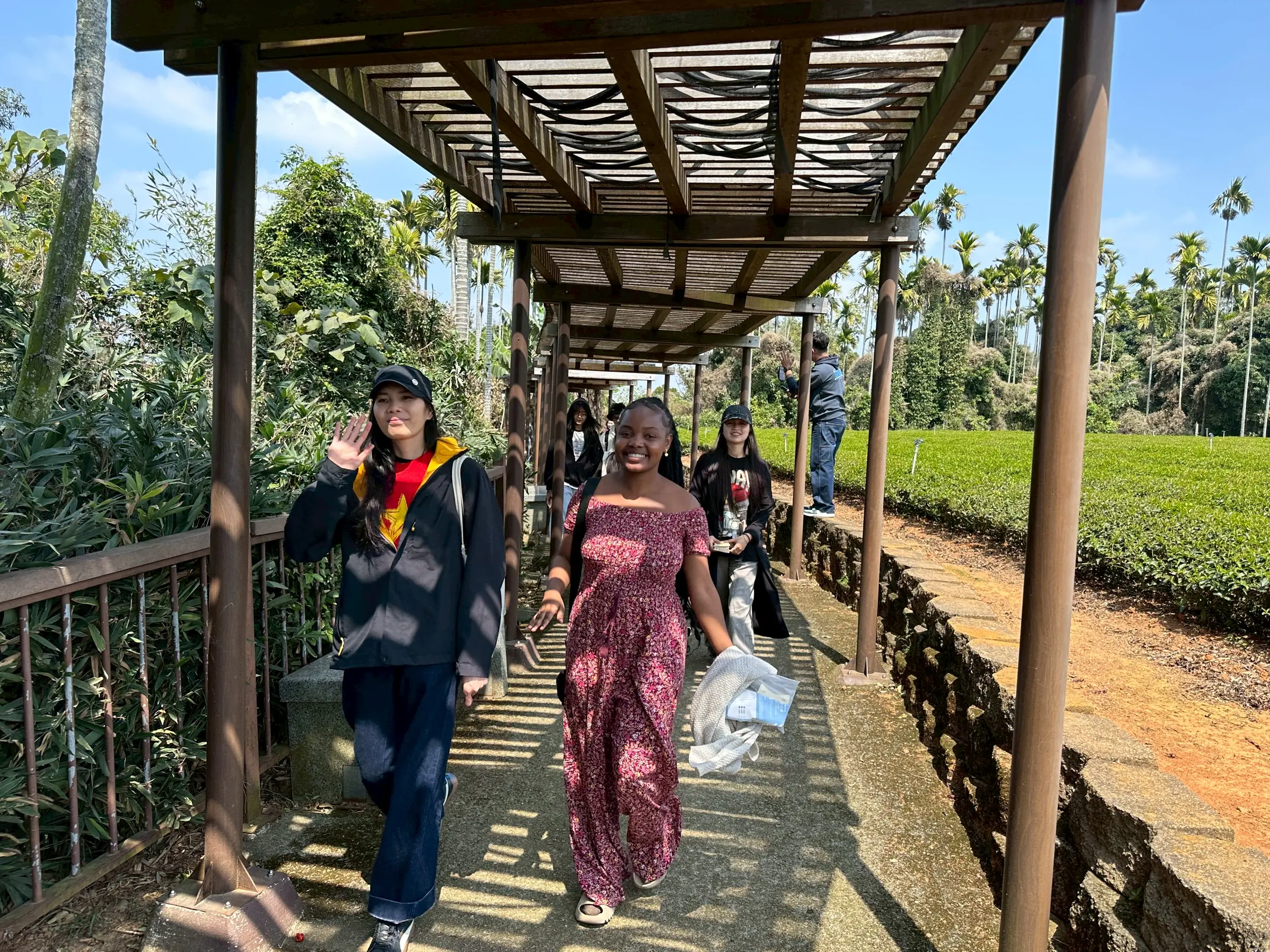 八卦山萬鷹過境賞鷹季 南投「鷹緣聚會」率先登場 八卦山萬鷹過境賞鷹季 南投「鷹緣聚會」率先登場