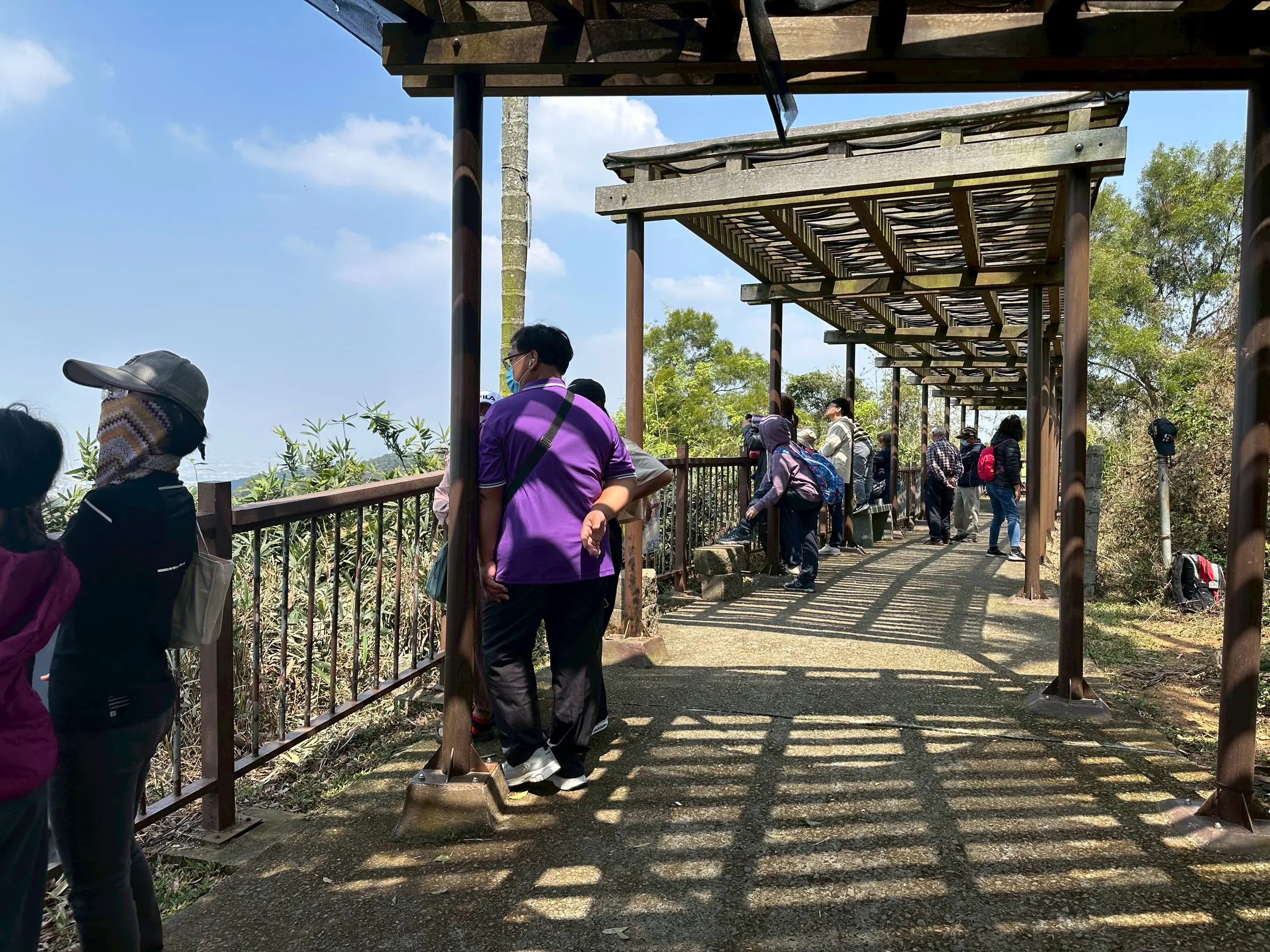 八卦山萬鷹過境賞鷹季 南投「鷹緣聚會」率先登場 八卦山萬鷹過境賞鷹季 南投「鷹緣聚會」率先登場