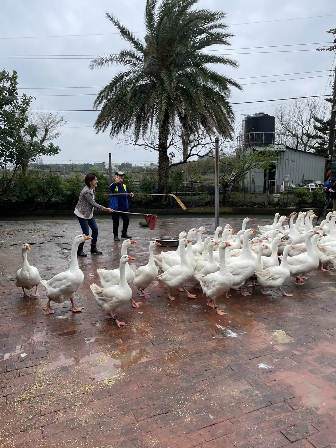 朱培滋接棒記錄 台灣人情味 朱培滋接棒記錄 台灣人情味