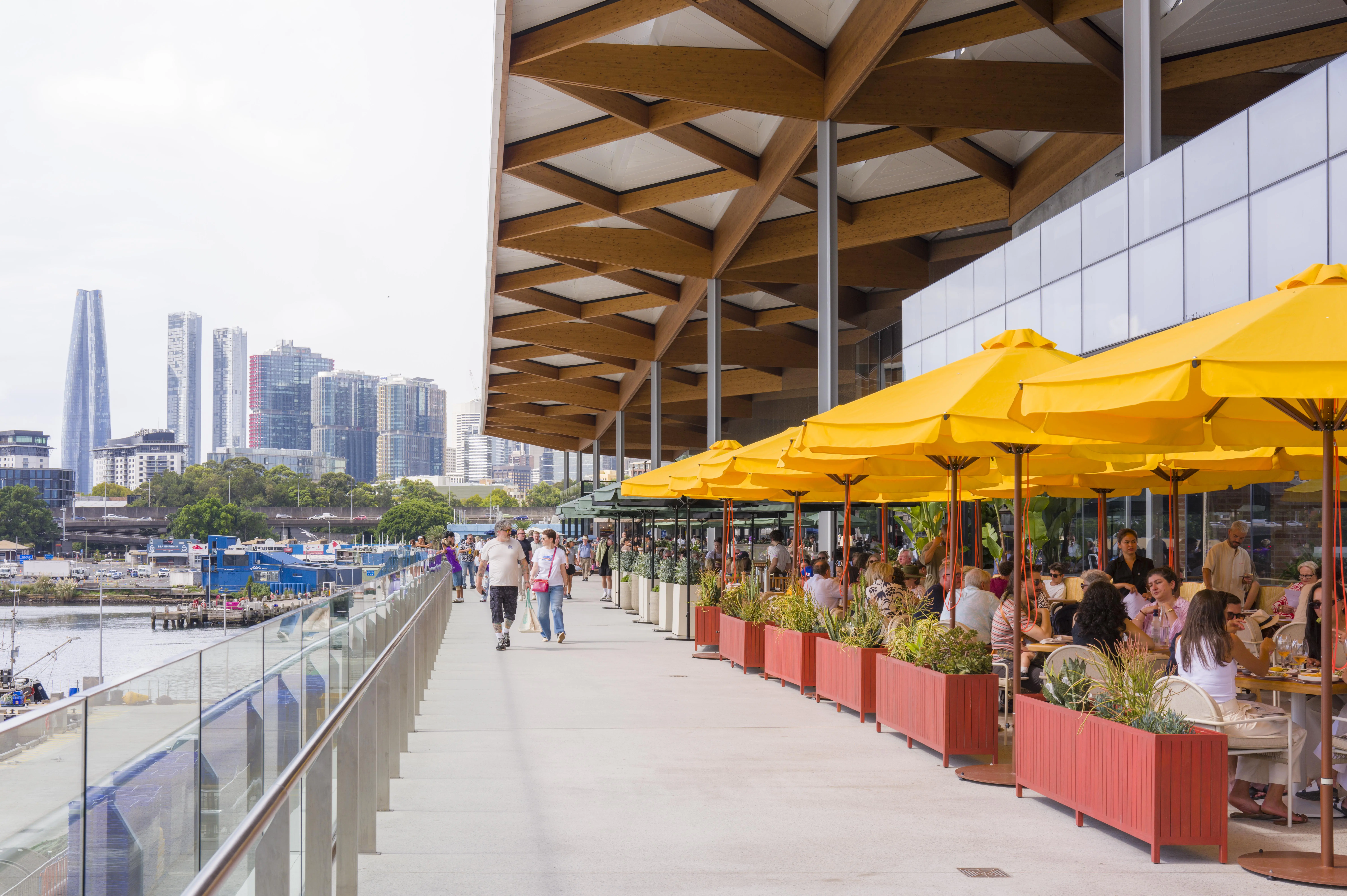 考察雪梨魚市場 侯友宜:借鏡國際經驗 持續翻轉新北市場 考察雪梨魚市場 侯友宜:借鏡國際經驗 持續翻轉新北市場