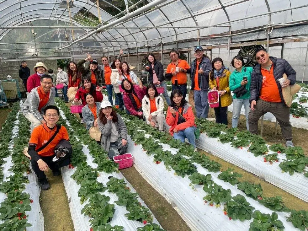 莓寶快閃送好禮!內湖草莓季三大好康攻略 莓寶快閃送好禮!內湖草莓季三大好康攻略