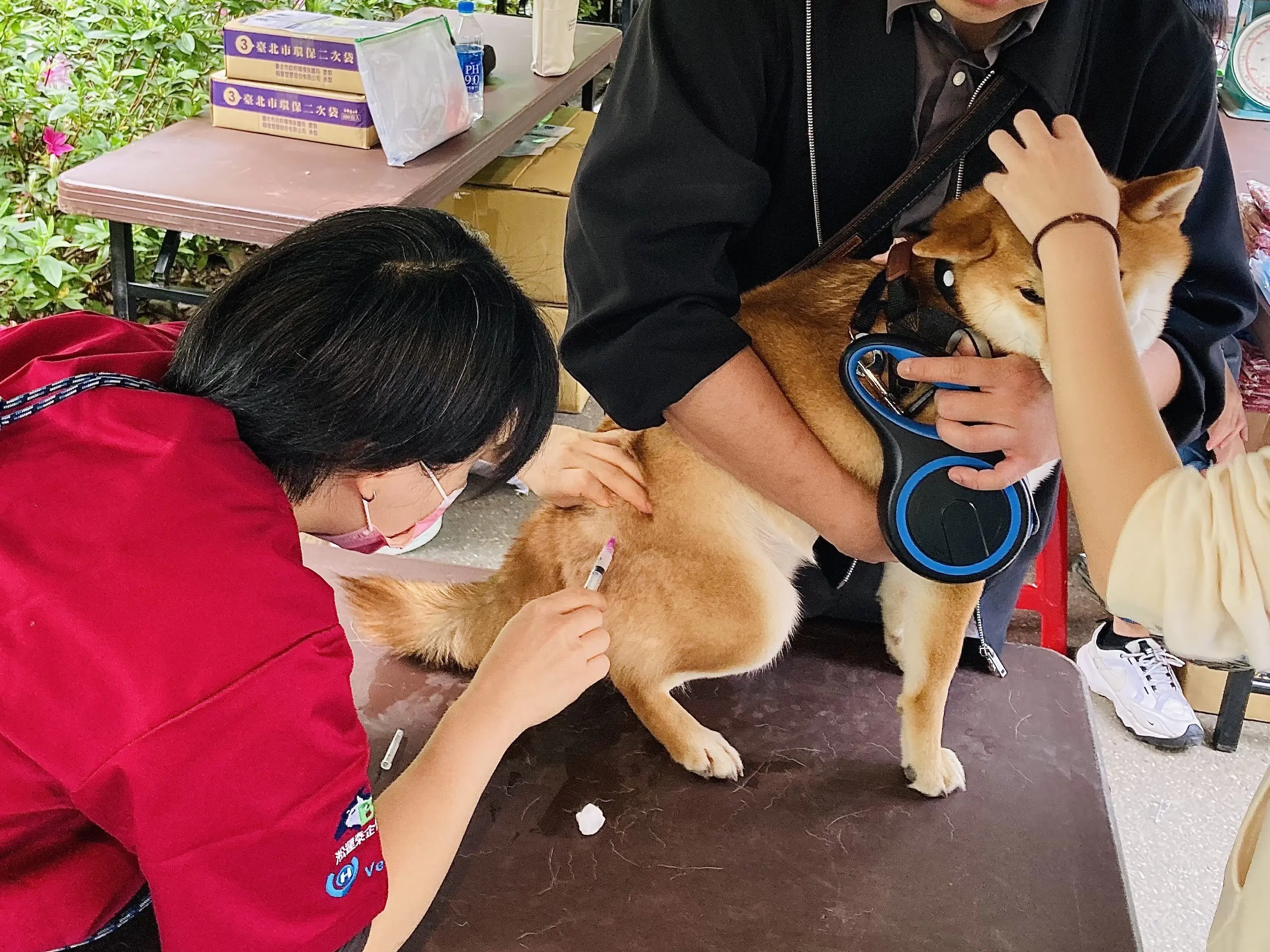 花伴野餐迎春趣 北市動保處推動保知識與免費狂犬病疫苗服務 花伴野餐迎春趣 北市動保處推動保知識與免費狂犬病疫苗服務