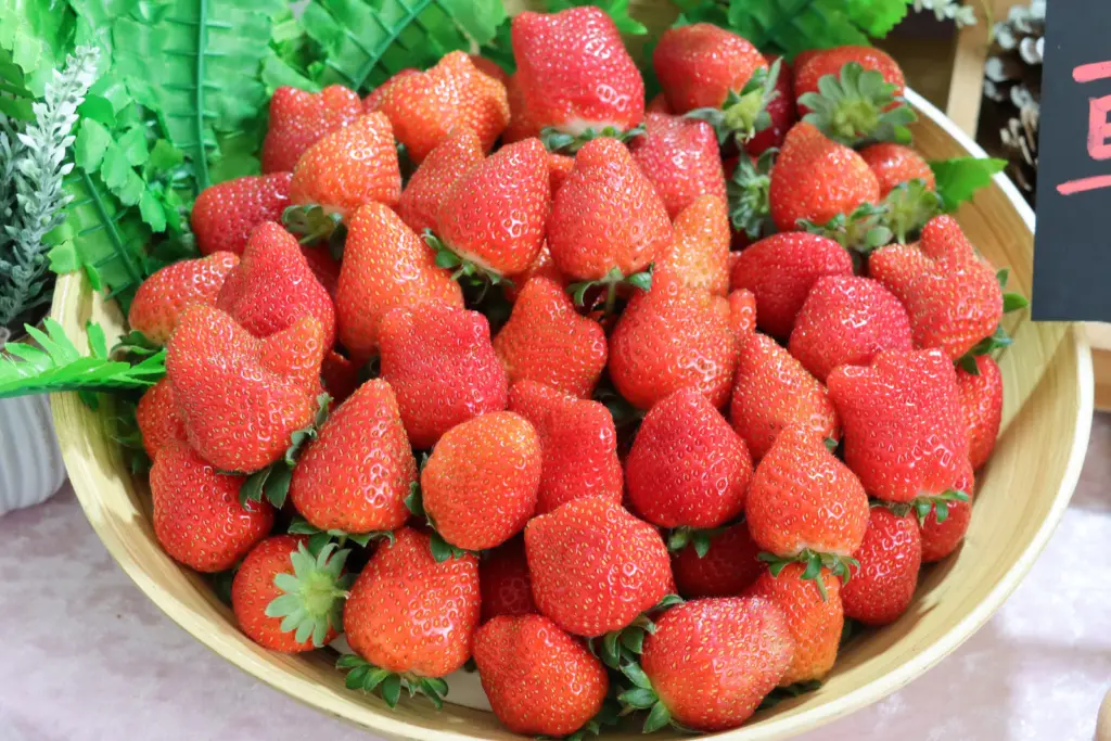 莓寶快閃送好禮!內湖草莓季三大好康攻略 莓寶快閃送好禮!內湖草莓季三大好康攻略