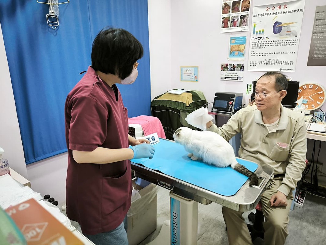 狗貓最常見疾病竟是它! 獸醫提醒別忽視 狗貓最常見疾病竟是它! 獸醫提醒別忽視