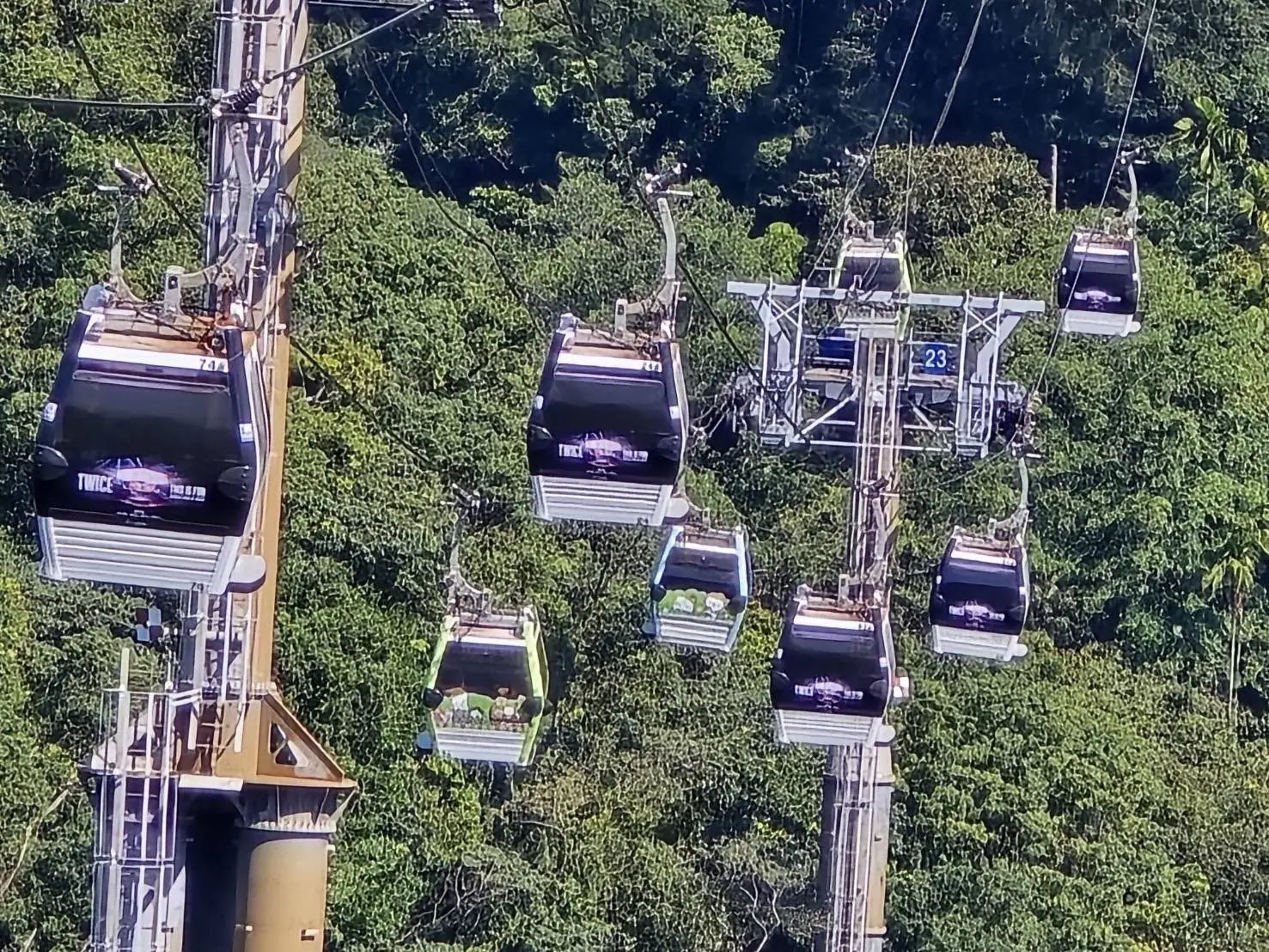 TWICE來臺開唱 貓空纜車9台主題車廂搶先應援 TWICE來臺開唱 貓空纜車9台主題車廂搶先應援