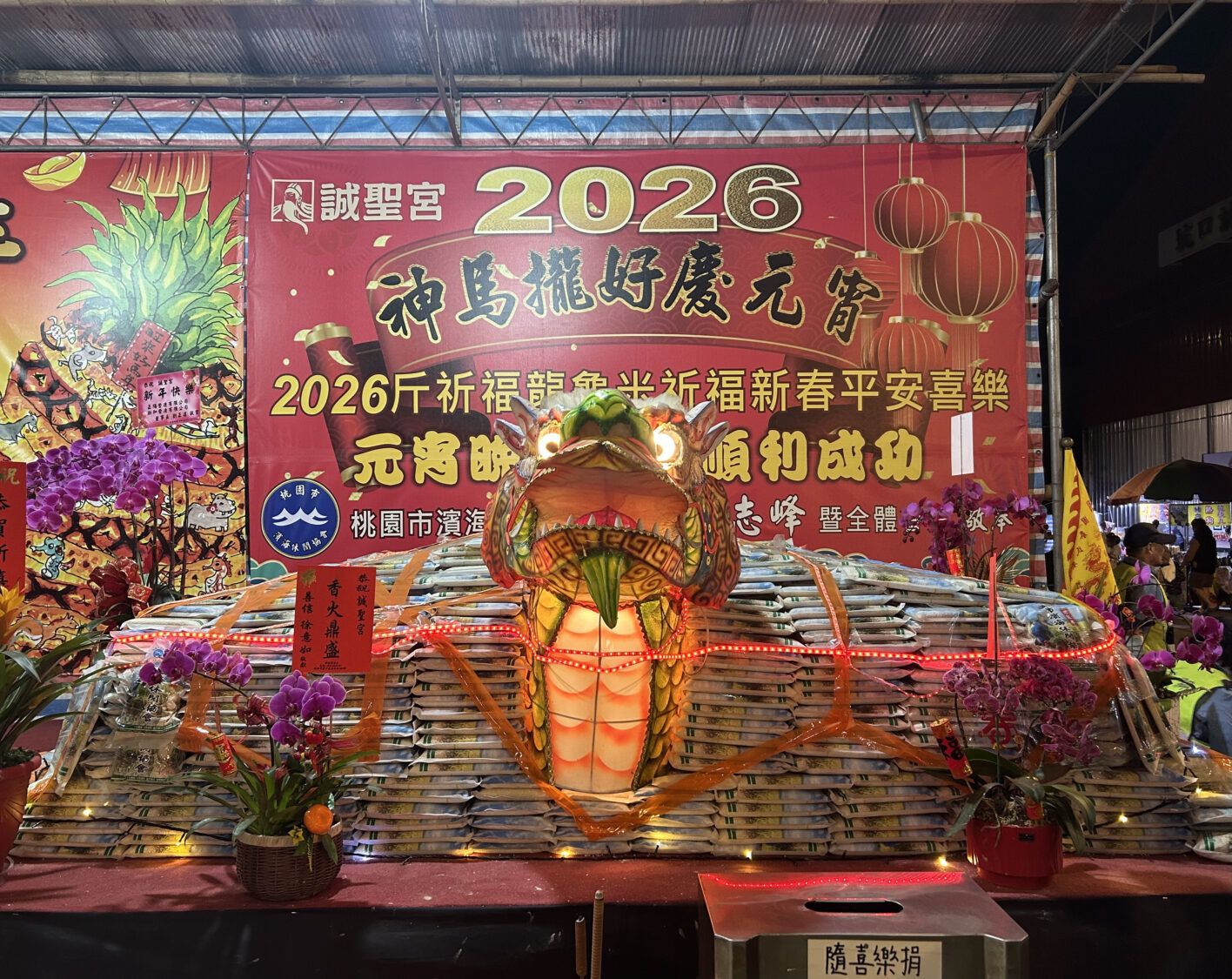 濱海休閒協會聯手蘆竹三里辦晚會慶元宵 1.2噸龍米龜亮相超吸睛 除了豐富禮品外,活動單位更準備重達2026台斤的「龍米龜」供隨喜購買,為里民祈求新的一年一切平安。(記者陳世軒攝)