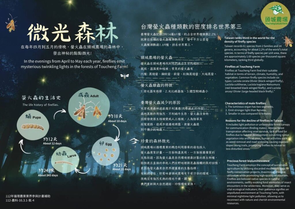 頭城休閒農場賞螢季4月登場!沉浸森林夜光秀打造親子首選秘境 頭城休閒農場賞螢季4月登場!沉浸森林夜光秀打造親子首選秘境