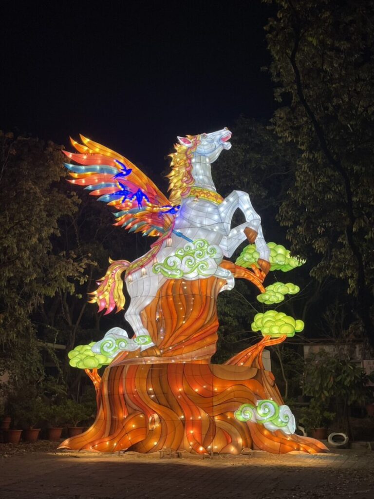 「紅螞蟻生態世界」大消息來啦!帶你探索全新生態驚喜 (圖/紅螞蟻生態世界 提供)