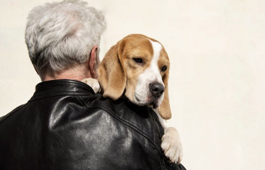 助攻B2B產線高效升級!勤億推生技原料搶攻銀髮與寵物商機 助攻B2B產線高效升級!勤億推生技原料搶攻銀髮與寵物商機