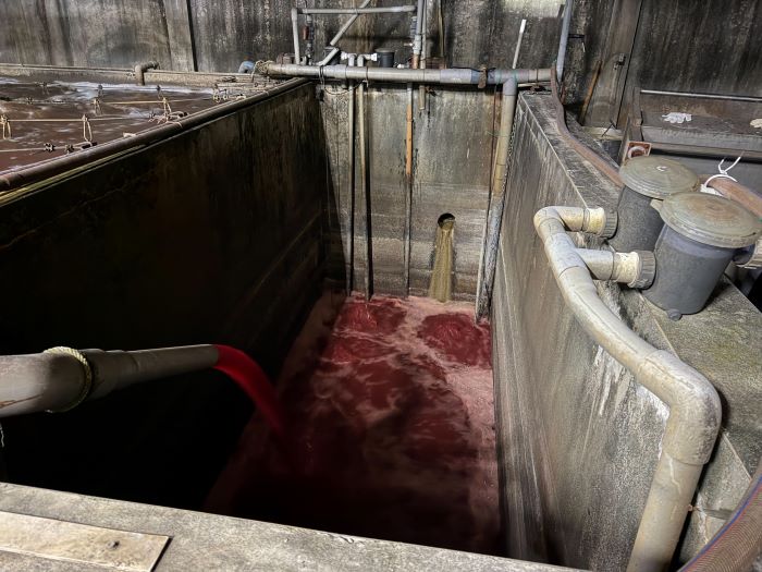 紅色血水污染水溝 食品工廠違法排放勒令停工 紅色血水污染水溝 食品工廠違法排放勒令停工