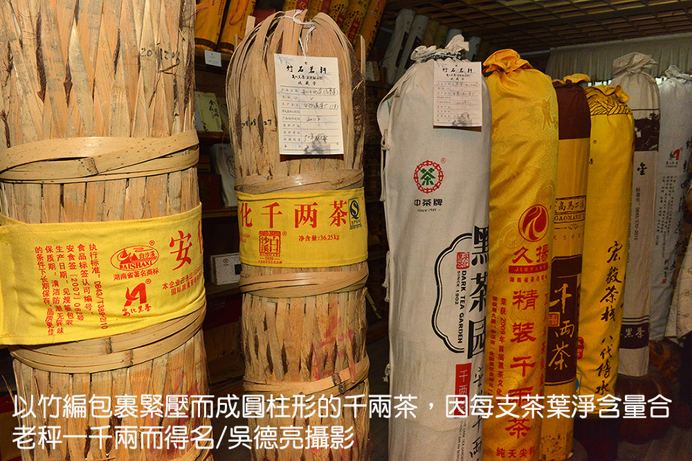 一柱擎天之安化千兩茶探秘 一柱擎天之安化千兩茶探秘