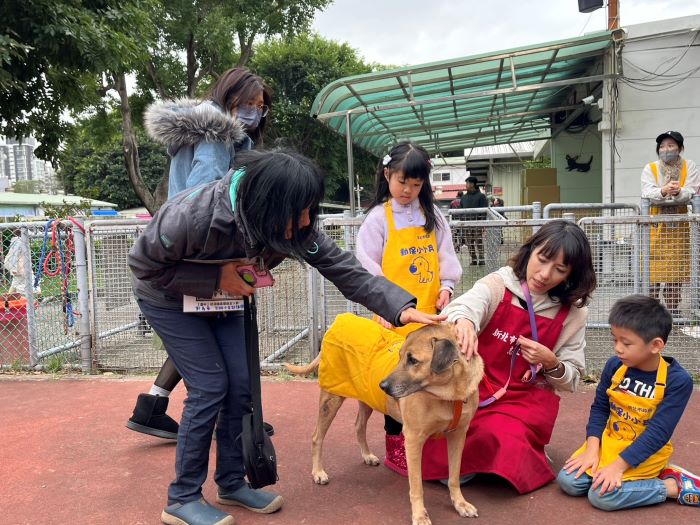 兒童節推生命教育扎根 新北動保小小兵體驗課登場 29 《圖說》志工協助親子與狗老師互動。〈動保處提供〉