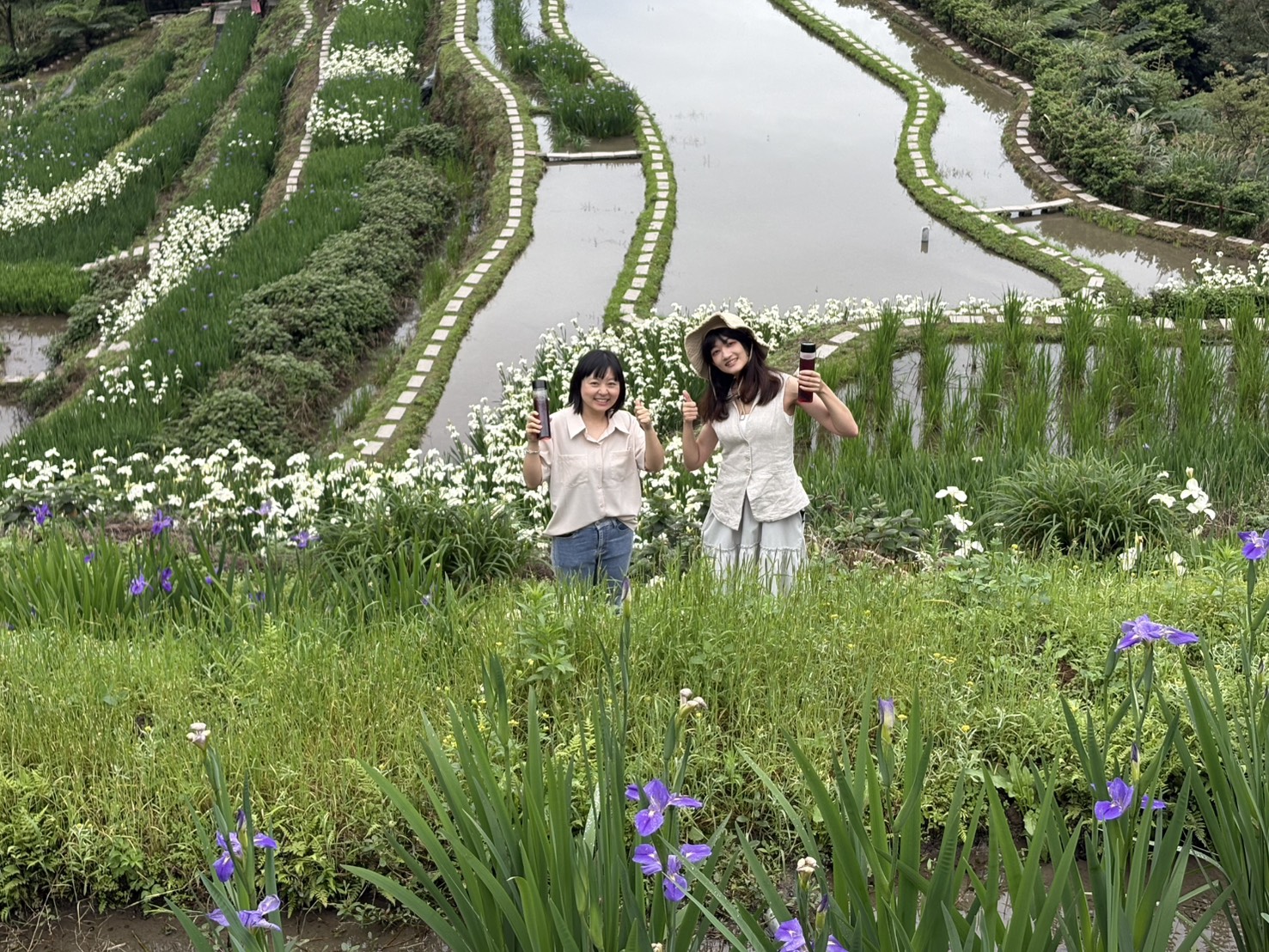 鳶尾花遇見嵩山百年梯田 新北石門嵩山春季限定 鳶尾花遇見嵩山百年梯田 新北石門嵩山春季限定