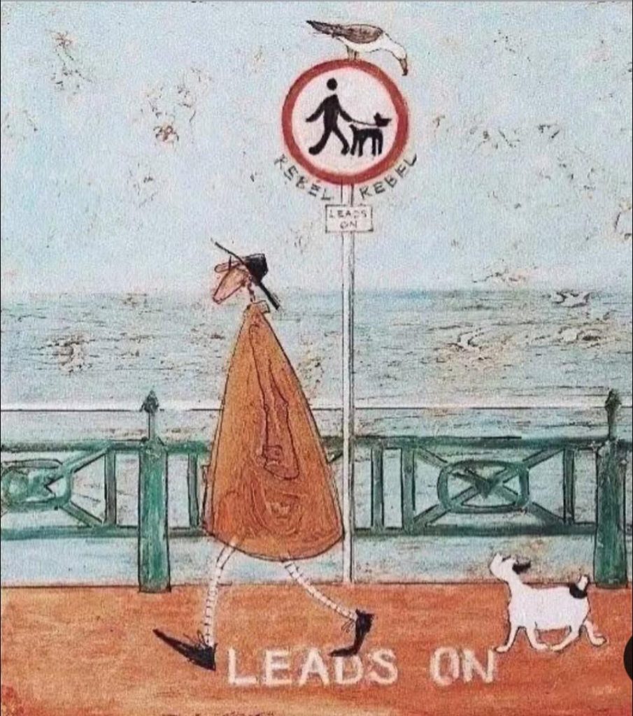 《雨中有影》 幸福,是有人(與毛孩)陪你一起走在雨中。 《雨中有影》 幸福,是有人(與毛孩)陪你一起走在雨中。