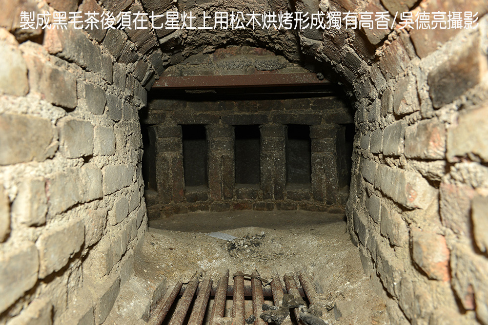 一柱擎天之安化千兩茶探秘 一柱擎天之安化千兩茶探秘