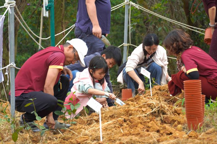 公私協力打造永續綠未來 北臺八縣市攜手種下百萬棵樹有成 43 《圖說》苗栗縣桑耶寺參與植樹活動。〈農業局提供〉