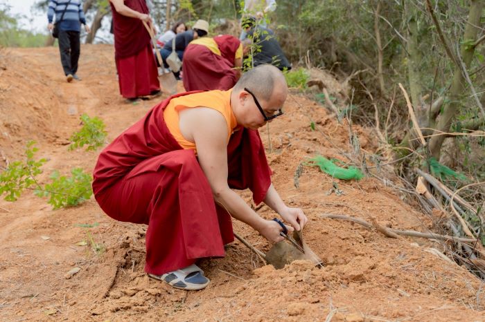 為地球種下一棵樹 新北攜手臺灣桑耶寺植樹 6 《圖說》配合當地環境,種植耐風樹種光蠟樹和九芎。〈農業局提供〉
