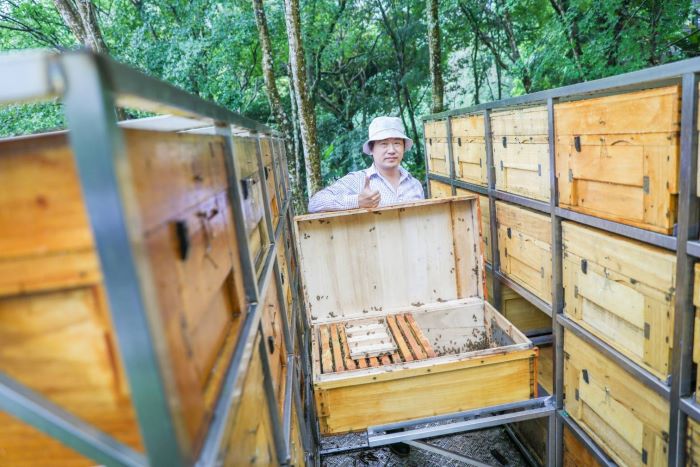 連假走春遊三峽 尋花嚐蜜揭開蜂箱祕密 36 《圖說》「蜂樺蜂蜜」第三代負責人陳冠樺,將「傳統生產」與「體驗教育」深度結合,致力透過互動參與,引導大眾認同農產品背後的職人精神與永續價值。〈農業局提供〉