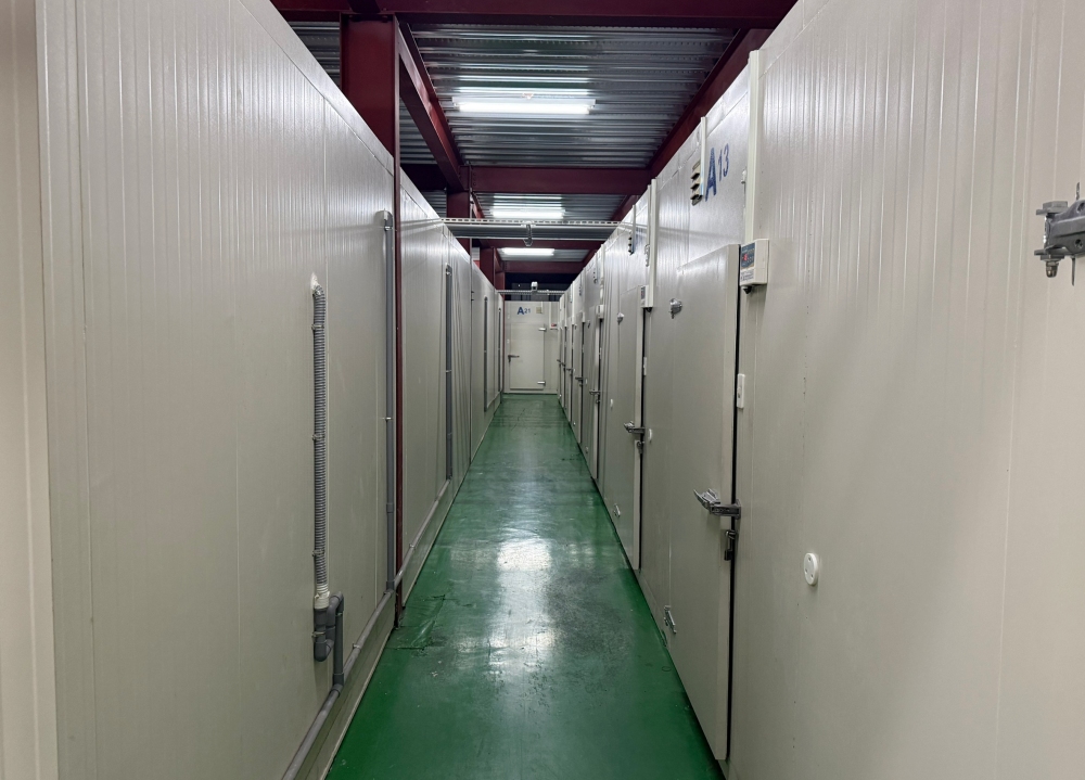 台中冷凍倉儲出租與冷凍櫃出租怎麼選 企業冷鏈配置新趨勢 28 01台中冷凍倉儲出租與冷凍櫃出租怎麼選