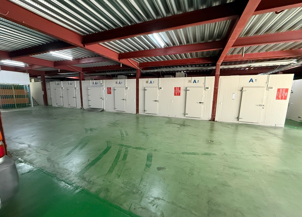 台中冷凍倉儲出租與冷凍櫃出租怎麼選 企業冷鏈配置新趨勢 29 02台中冷凍倉儲出租與冷凍櫃出租怎麼選