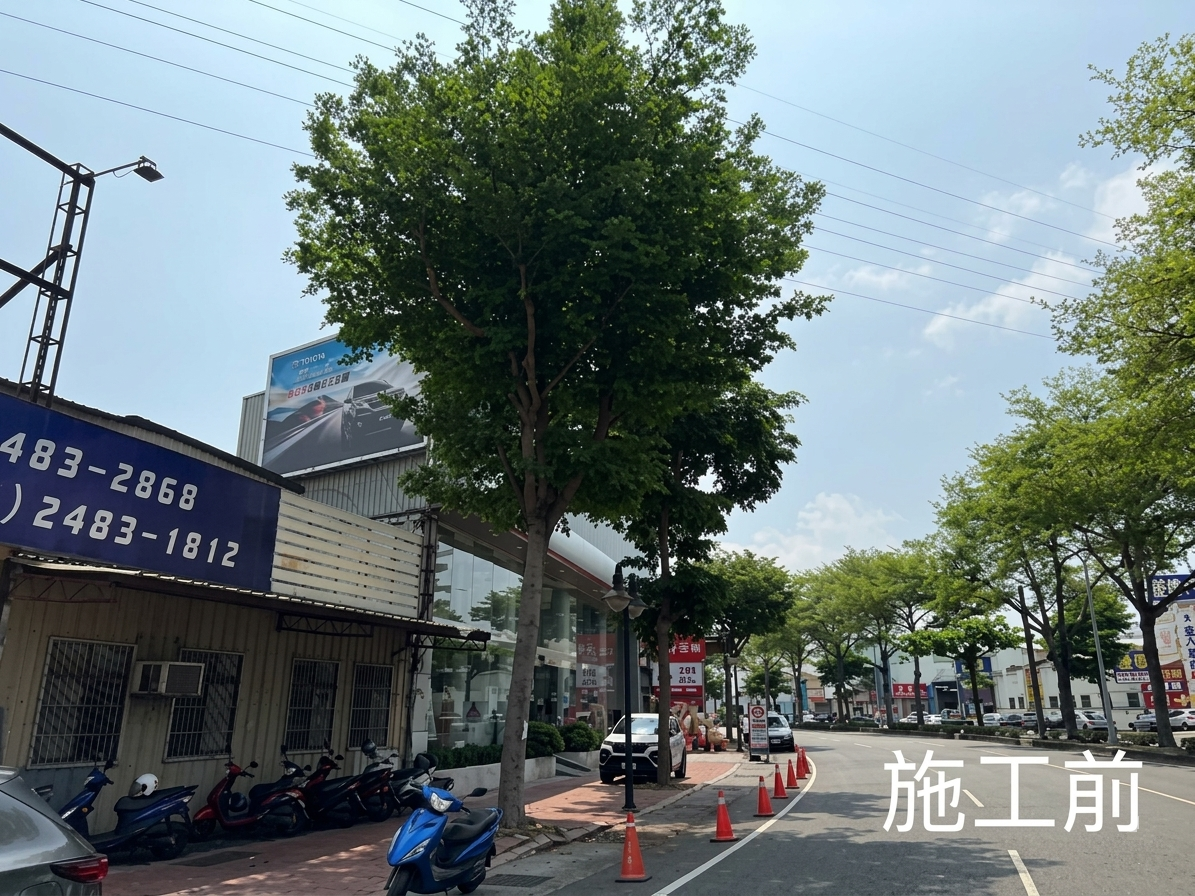 韌性城市從「樹」開始! 中市建設局培訓百名人員 精進行道樹高空修剪專業職能 韌性城市從「樹」開始! 中市建設局培訓百名人員 精進行道樹高空修剪專業職能