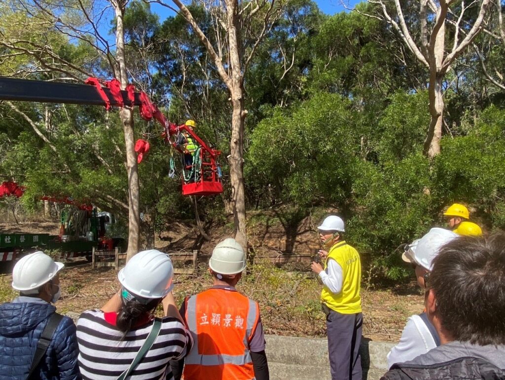 韌性城市從「樹」開始! 中市建設局培訓百名人員 精進行道樹高空修剪專業職能 韌性城市從「樹」開始! 中市建設局培訓百名人員 精進行道樹高空修剪專業職能
