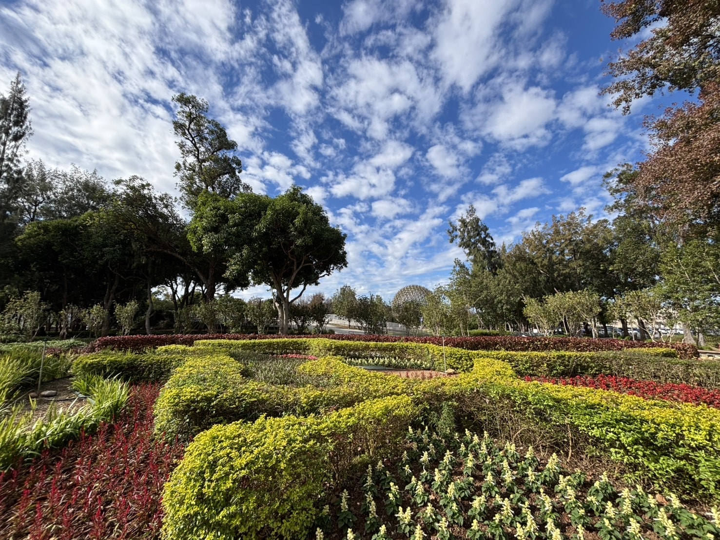 從展示藝術到生活場域 后里森林公園機械花啟動轉型 從展示藝術到生活場域 后里森林公園機械花啟動轉型