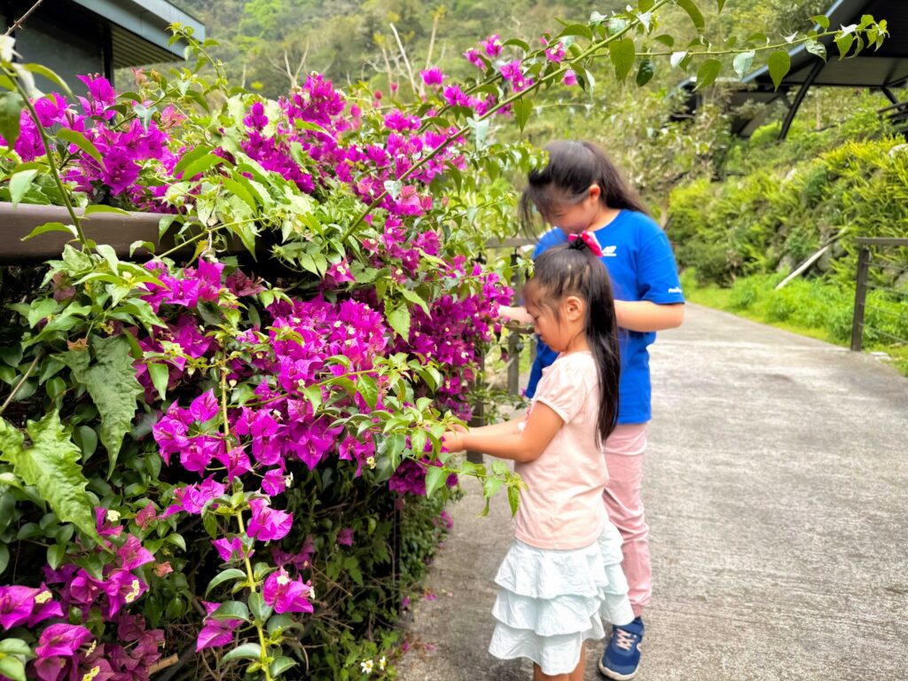 阿里山腳下親子賞螢熱點 美食×體驗×夜間生態一次玩 阿里山腳下親子賞螢熱點 美食×體驗×夜間生態一次玩