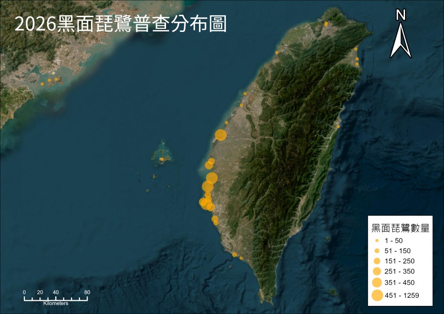 2026年黑面琵鷺全球同步普查結果出爐 族群再創新高 2026年黑面琵鷺全球同步普查結果出爐 族群再創新高