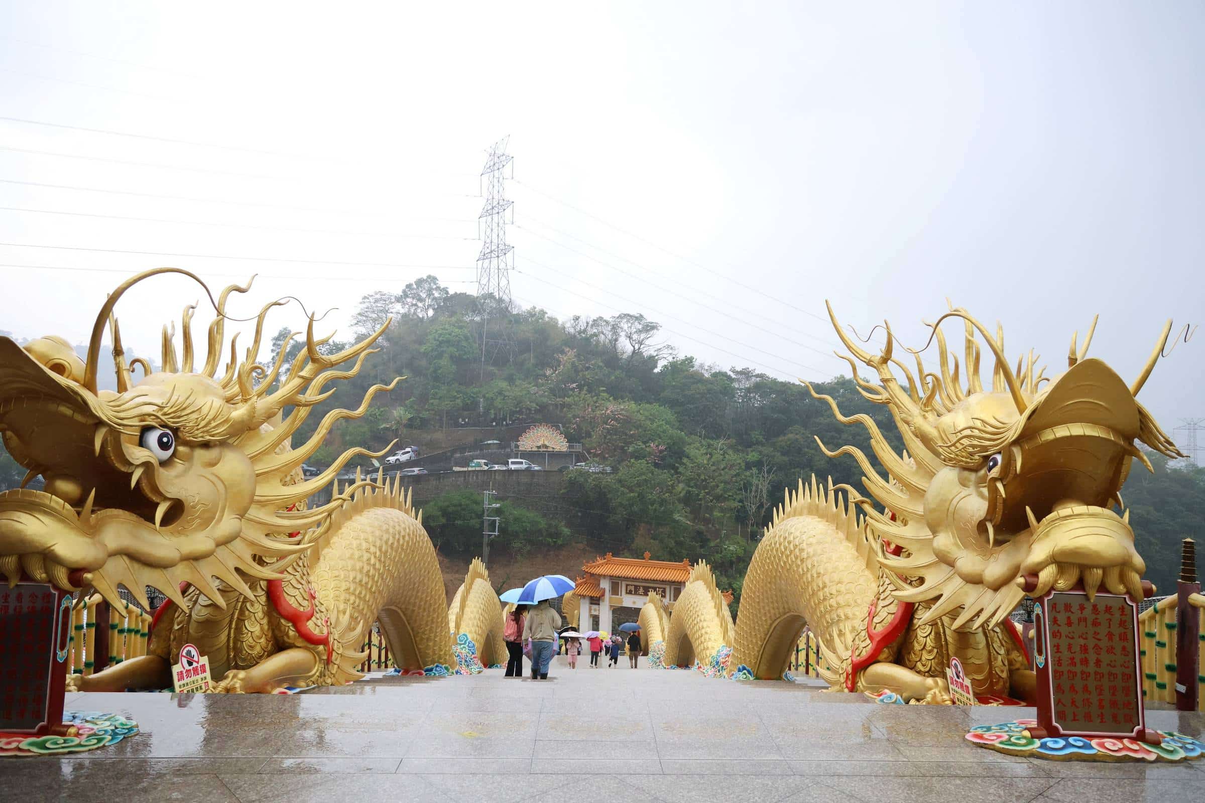 投縣「金龍賜福藝術文化節」迎春雨引人潮　同享信仰藝文公益之樂