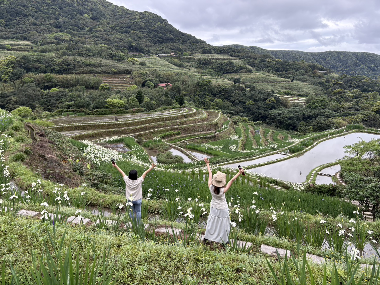 鳶尾花遇見嵩山百年梯田 新北石門嵩山春季限定 鳶尾花遇見嵩山百年梯田 新北石門嵩山春季限定